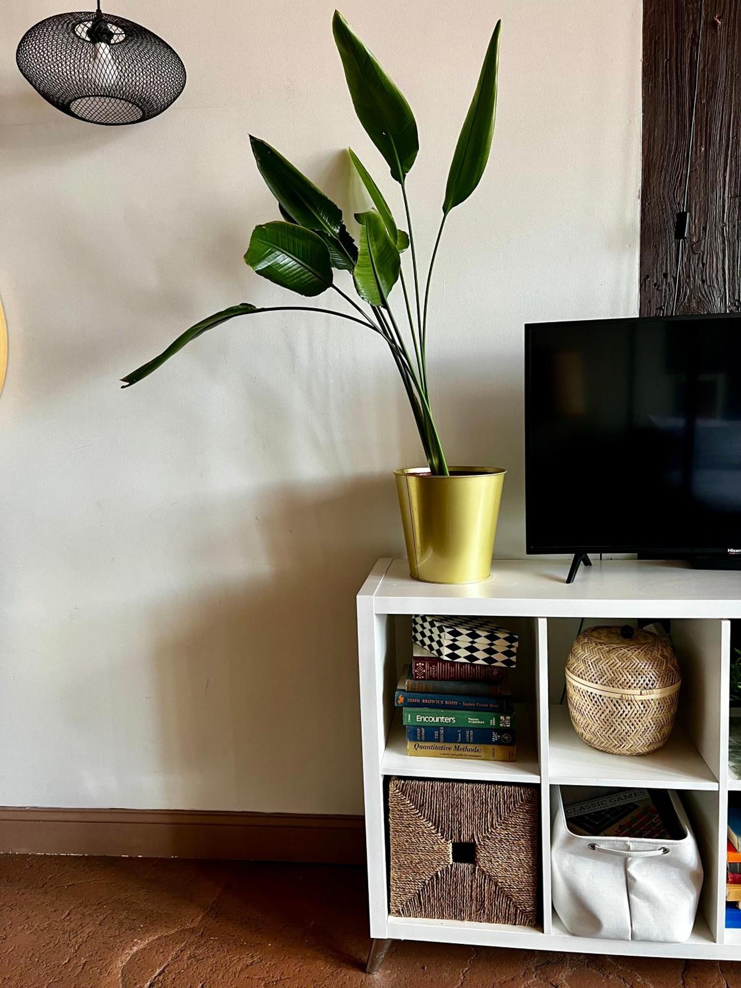 420 Friendly Boho Loft Downtown King Suite Free Parking ดีทรอยต์ ภายนอก รูปภาพ